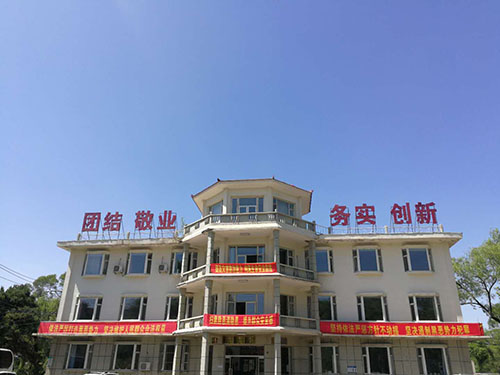 院內環(huán)境